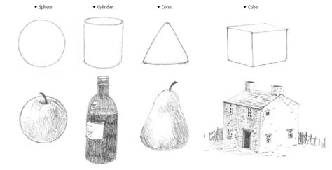 Top Tips For Learning To Draw With Linda Birch Pencil Drawings For