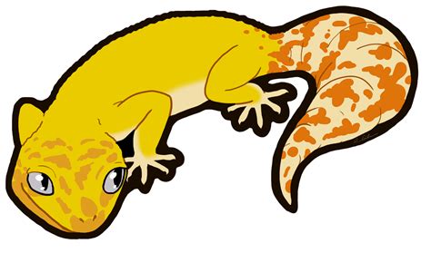 Leopard Gecko Clipart At Getdrawings Free Download