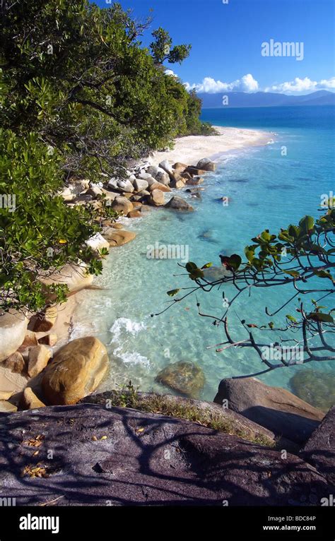 Nudey Beach Fitzroy Island National Park Queensland Australia Stock