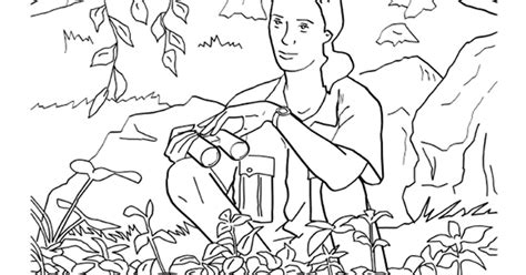 Printables - Colors of Gombe | HP® Official Site