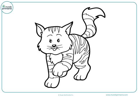 Dibujos De Gatos Para Imprimir Y Colorear Mundo Primaria Images