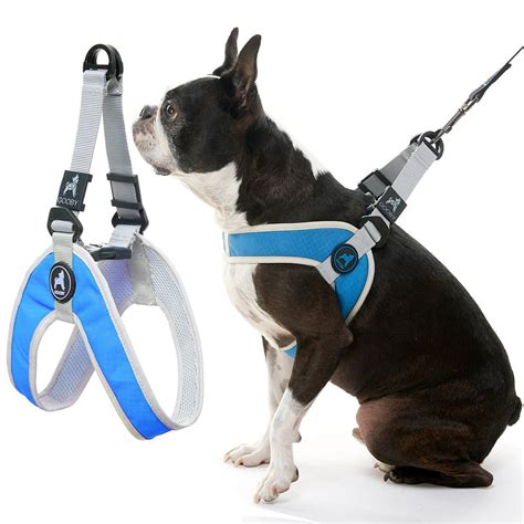 Gooby Dog Harness Blue Large Simple Step In Harness Iii Small Dog