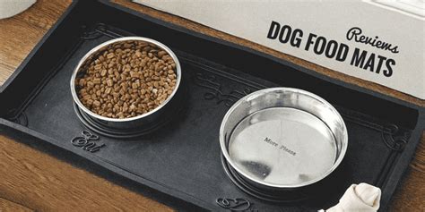 5 Best Dog Food Mats For Messy Eaters — Full 2018 Update