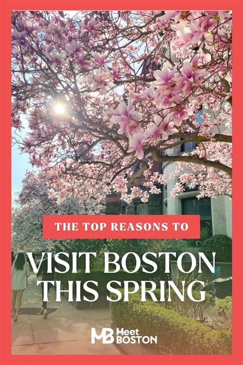 The Top Reason To Visit Boston This Spring