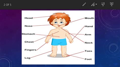 Std I Evs The Main Parts Of Our Body Youtube