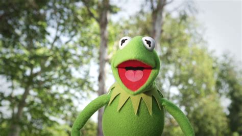 Kermit Celebrates The Start Of Summer The Muppets