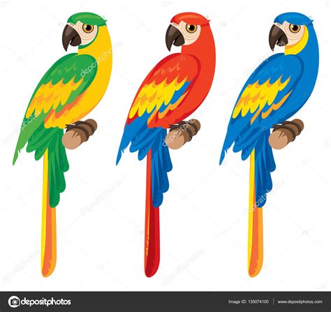 Três Araras Papagaios Ilustração De Stock Por ©paseven 135074100