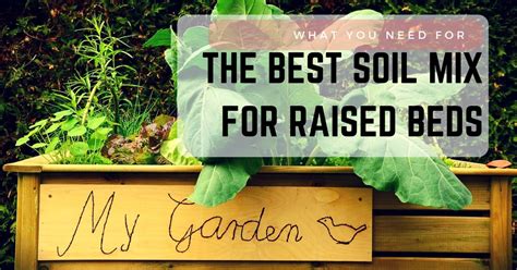 A raised garden bed is simply a plot of soil that is placed above the surrounding or existing soil and it is often enclosed by wooden planks. What You Need for the Best Soil Mix for Raised Beds - Sumo ...