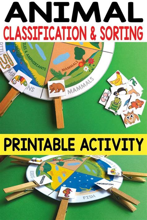 Animal Classification and Sorting Printable Activity - itsybitsyfun.com