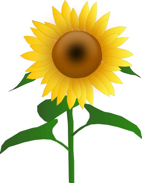Sunflower Jh Clip Art At Vector Clip Art Online Royalty