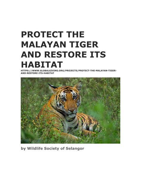 Protect The Malayan Tiger And Restore Its Habitat And Restore Its