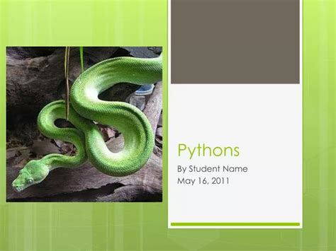 Ppt Pythons Powerpoint Presentation Free Download Id2248260