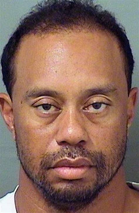 tiger woods dui arrest golf stars apology says alcohol was not involved the courier mail