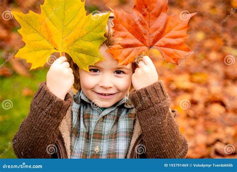 Boy Child With Leaf In Autumn Park Stock Image Image Of Childhood