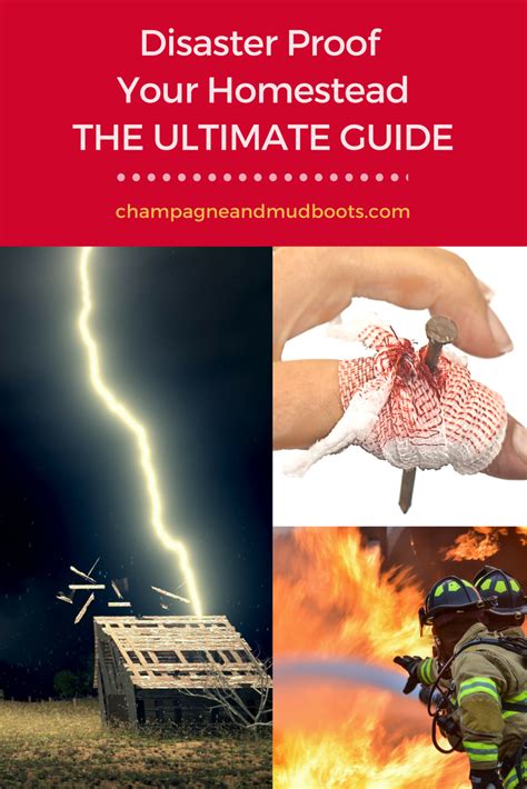 Ultimate Guide To Emergency Preparedness Ideas On The Homestead