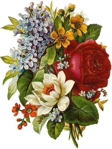 Download Flower Vintage Collage Royalty Free Stock Illustration Image