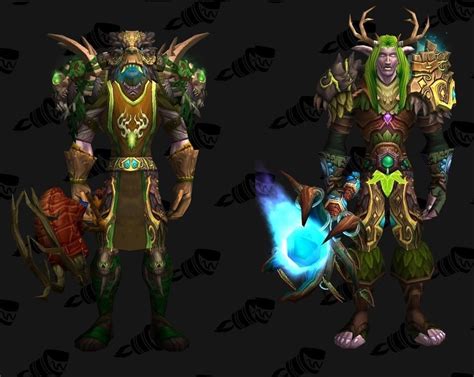 Night Elf Druid Pvp And Pve Transmogrification