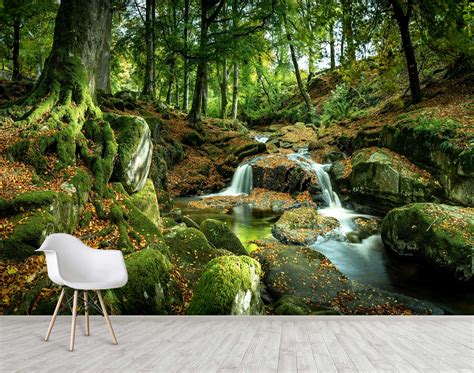 Forest Stream Waterfalls Wall Mural Nature Landscape Photo Etsy