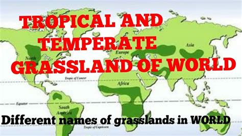 Temperate Grasslands Of The World Map