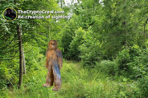 Bigfoot Sighting In Perry County ~ The Crypto Crew