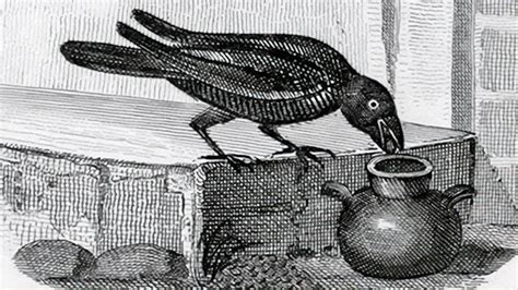 The Crow And The Pitcher A Stem Literacy Link Little Scientists