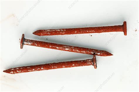 Nails Rusting After Stock Image C0017461 Science Photo Library