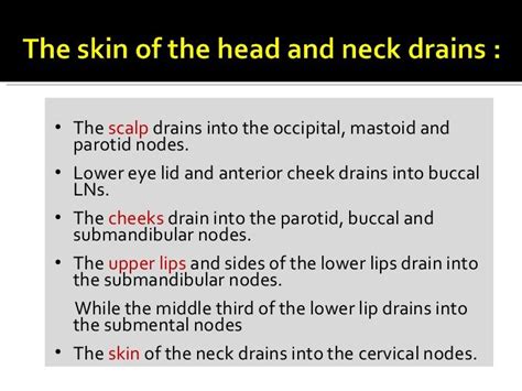Lymphatic Drainage Of Tongue What Is Radical Neck Dissectionand Why