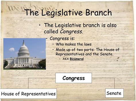 Inspiration 20 Of What Are The Two Houses Of The Legislative Branch
