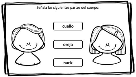 Partes Del Cuerpo 007 Orientación Andújar Recursos Educativos