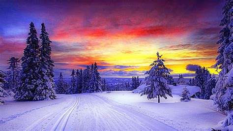Hd Wallpaper Sunset 4k Snow Covered Winter Pine Trees Wallpaper