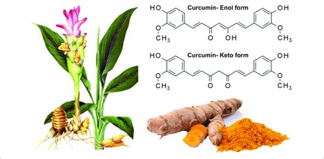 The Molecular Structure Of Curcumin Isolated From The Root Of