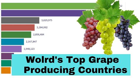 Worlds Top Grape Producing Countries 1963 2018 Youtube