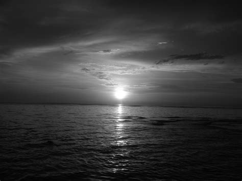 Florida Sunset In Black And White Sunset Picture Black And White