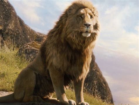Film 9 aralık 2005 tarihinde avrupa ve kuzey amerika'da gösterime girmiştir. Which "Narnia" Character Are You? | Narnia, Movie and Books