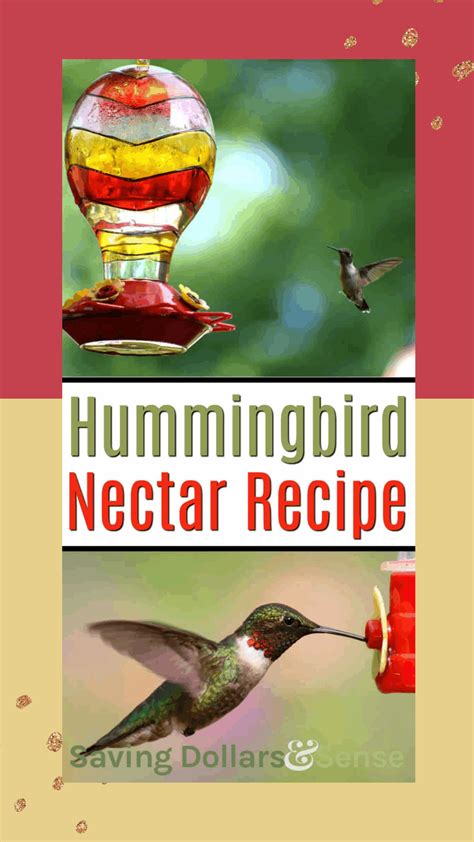 You can make your homemade hummingbird food, be less expensive and healthier than the commercial nectar. DIY This Easy Hummingbird Nectar Recipe - Saving Dollars ...