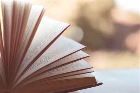 กฏ 3 ข้อของการอ่านหนังสือเป็นงานอดิเรก | by Proadpran Chaiwirunjaroen | Medium