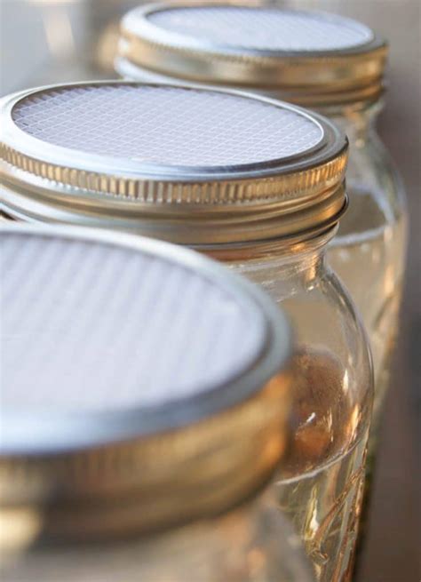 Diy Soaking And Sprouting Lid For Mason Jars Just 005 Per Lid