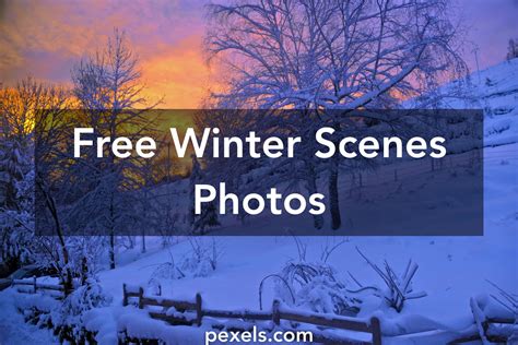 1000 Beautiful Winter Scenes Photos · Pexels · Free Stock