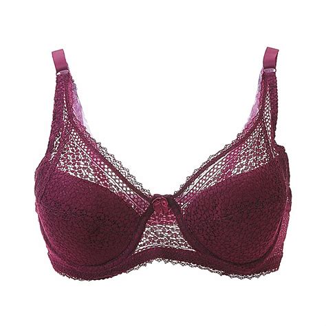 Women Sexy Underwire Padded Up Embroidery Lace Bra D D D D