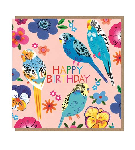 By Range Parrot Birthday Card Earlybird Designs