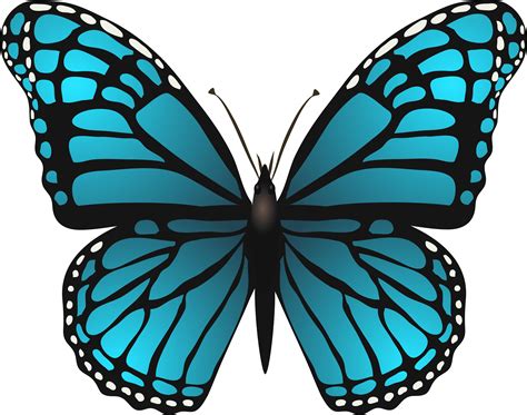 Download Blue Butterfly Png Png Image With No Background