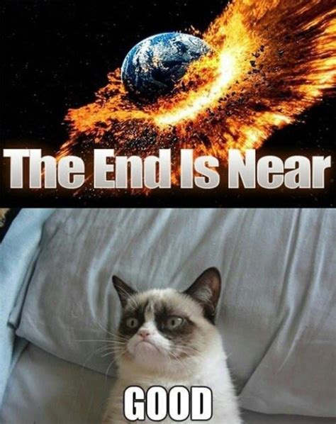 Meme Of The Year Grumpy Cat