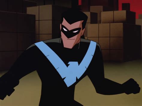 Nightwing Dc Animated Universe Fandom Powered By Wikia