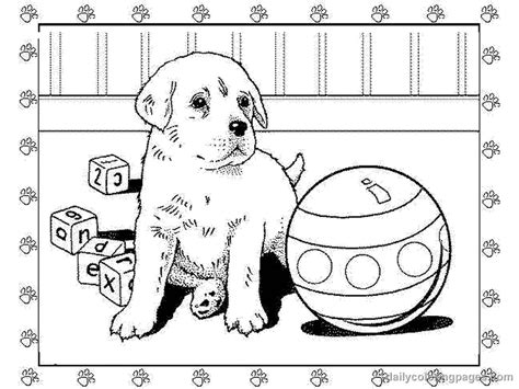 Golden Retriever Puppies Coloring Pages Coloring Home