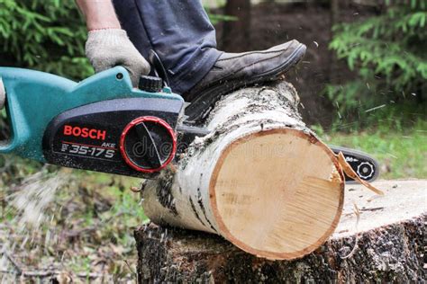 Cutting A Tree Trunk With An Electric Saw On A Stump Editorial Photo