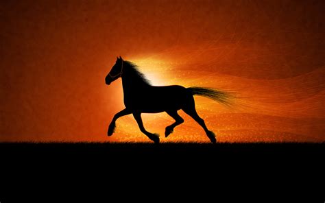 Cute Horse Wallpapers ·① WallpaperTag