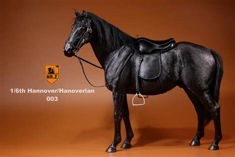 German Hanoverian Warmblood Horse Black