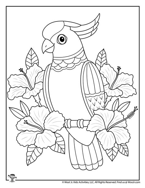 Tropical Coloring Sheets Coloring Pages