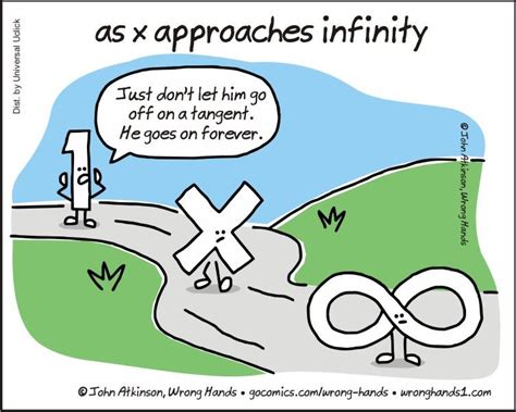 As X Approaches Infinity Funny Math Quotes Math Jokes Calculus Jokes