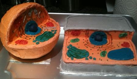 Check spelling or type a new query. Animal Cell Cake For Science Project - CakeCentral.com